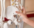 Uroginekologia