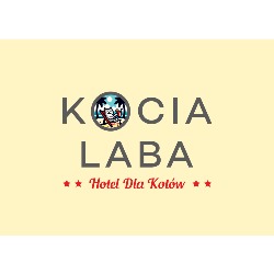 Kocia Laba hotel dla kotów Beata Zemanek