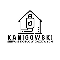 Serwis pieców gazowych   Montaż, Naprawa i Przegląd pieca gazowego