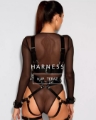 Harness – zmysłowe paski i dodatki do bielizny