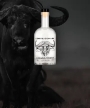 Gin with Polish botanicals