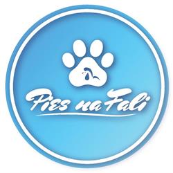 Fryzjer dla Psów Groomer Pies na Fali Psi fryzjer
