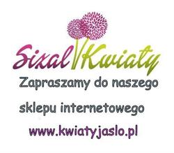 Kwiaciarnia Sizal