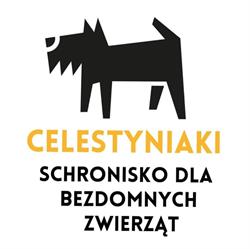 Schronisko dla Bezdomnych Zwierząt w Celestynowie-oficjalna strona
