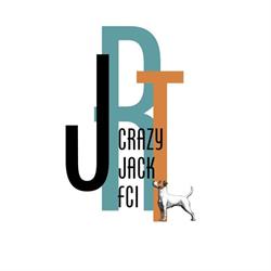 CRAZY JACK FCI Jack Russell Terrier Hodowla Psów