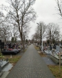 groby cmentarz