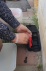 Deratyzacja za pomocą bloczków woskowych w bezpiecznej stacji deratyzacyjnej zamykany na klucz