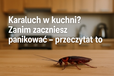 ChatGPT Image 26 cze 2025, 17_05_27