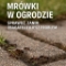 ChatGPT Image 26 cze 2025, 17_17_59