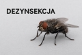 🦟 Dezynsekcja – usuwanie karaluchów, prusaków, moli i much (Mazowsze)
