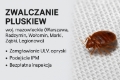 Nazwa: Dezynsekcja – zwalczanie pluskiew