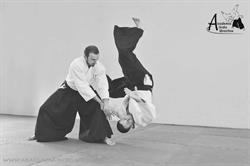 Akademia Aikido Wrocław