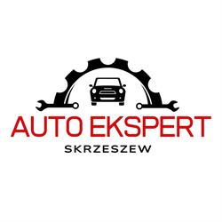 Mechanika Pojazdowa Skrzeszew - Auto Ekspert