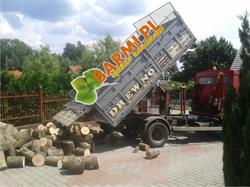 Trakmar