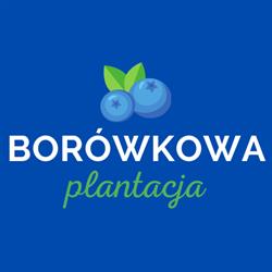 Borówkowa Plantacja