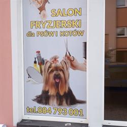 BRYŚ salon fryzjerski dla psów , kotów i małych zwierząt