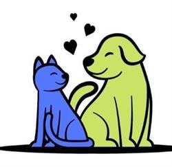 DOGWET Gabinet weterynaryjny