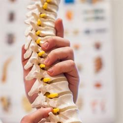 EŁK REHABILITACJA MASAŻ TERAPIA MANUALNA FALA UDERZENIOWA mgr Łukasz Sutowski