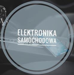 Elektronika-Samochodowa Piotr Brzęczek