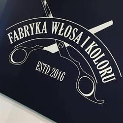 Fabryka Włosa i Koloru