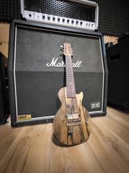 GalTone Studio - Serwis Gitarowy