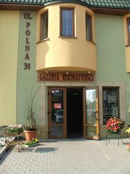 Galeria Rozmaitości