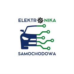 Elektronika Samochodowa Przemysław Łata