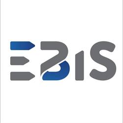 EBIS - Effective Business Intelligence Solutions