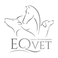 GABINET WETERYNARYJNY EQVET - leczenie KONI