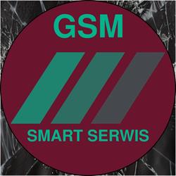 GSM Smart Serwis