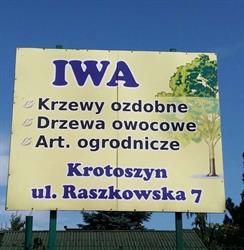 IWA Punkt Sprzedaży Drzew i Krzewów Ozdobnych oraz Owocowych