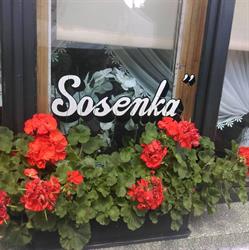 Kawiarnia Sosenka