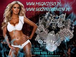 MEGACZESCI