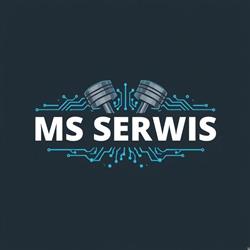 MS SERWIS Michał Świątek, elektronika i mechanika samochodowa, chiptuning