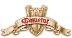 Zamek Camelot w Dębicy