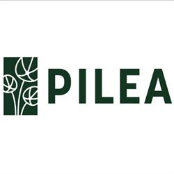 Pilea. Nieruchomości Kredyty Ubezpieczenia