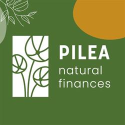 Pilea. Nieruchomości Kredyty Ubezpieczenia