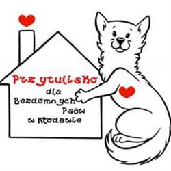 Przytulisko dla bezdomnych psów w Kłodawie