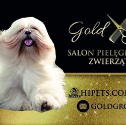 Psi Fryzjer Gold Groomer Salon Pielęgnacji Zwierząt Domowych