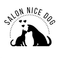 Salon Nice Dog-Pielęgnacja kotów, małych psów i królików - Sylwia Krajewska