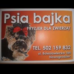 Psia Bajka fryzjer dla zwierząt