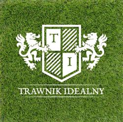 Trawnik Idealny