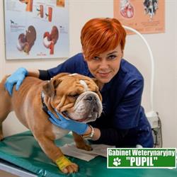 Weterynarz Morąg - Gabinet Weterynaryjny Pupil