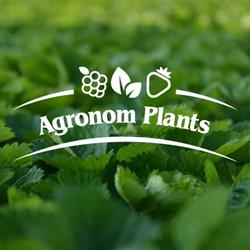 Agronom Plants