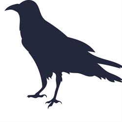 Blue Raven Apartaments