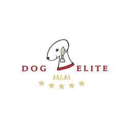 Dog Elite psi fryzjer przymorze Gdańsk