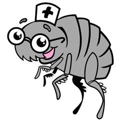 Fundacja Pomocna Pchełka