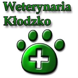 Gabinet weterynaryjny Weterynarz Weterynaria Kłodzko