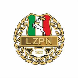 Lubelski Związek Piłki Nożnej