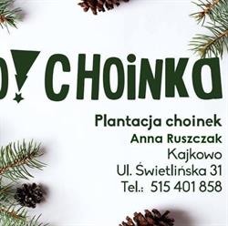 O!Choinka, Sprzedaż choinek